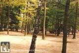Speeltuin 1989